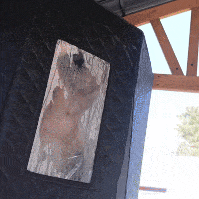 RejuvaSteam™ Sauna Pod